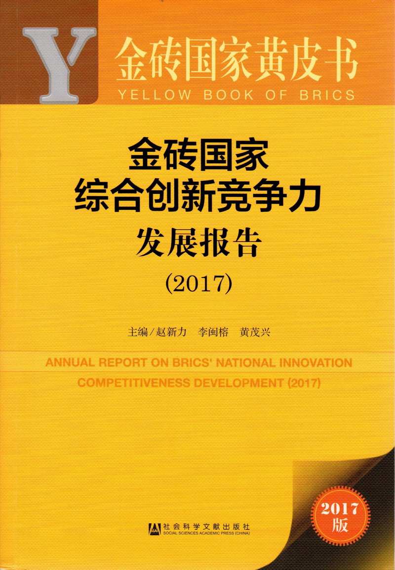 淫叫喷水观看操操操金砖国家综合创新竞争力发展报告（2017）